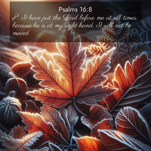 BasicEnglish Psalms  ; image nature: image with the bible verse :I have put the Lord before me at all times; because he is at my right hand, I will not be moved. ; Admire our autumnal collection of Bible verse images accompanied by photos of paths lined with red and yellow leaves, fiery forests, and calm rivers. These images inspire reflection and serenity. Share verses like KJV Psalms 16:8. Current verse is overlayed with the thematic nature scene : Autumn frost rims fallen leaves with crystal. ; 16:8