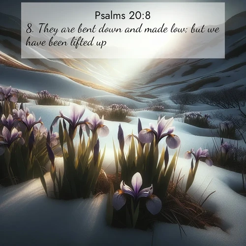 BasicEnglish Psalms  ; image nature: image with the bible verse :They are bent down and made low; but we have been lifted up. ; Browse high-resolution Bible verse images featuring stunning nature photography, such as radiant sunsets, tranquil rivers, and blooming fields. Perfect for wallpapers or sharing on social media. Download KJV Psalms 20:8. Current verse is overlayed with the thematic nature scene : Wild irises pierce winter&#039;s last snow. Alpine light sets their petals ablaze. ; 20:8