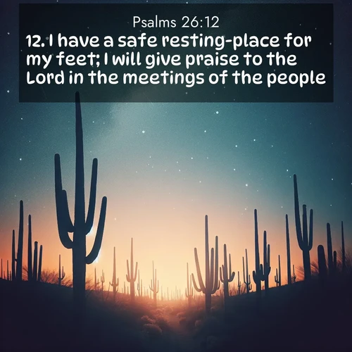 BasicEnglish Psalms  ; image nature: image with the bible verse :I have a safe resting-place for my feet; I will give praise to the Lord in the meetings of the people. ; Browse our collection of vibrant Bible verse images set against calming backdrops like tropical shores, quiet woods, and majestic mountains. Download free wallpapers featuring KJV Psalms 26:12. Current verse is overlayed with the thematic nature scene : Desert stars shine brilliantly above towering saguaro silhouettes. ; 26:12