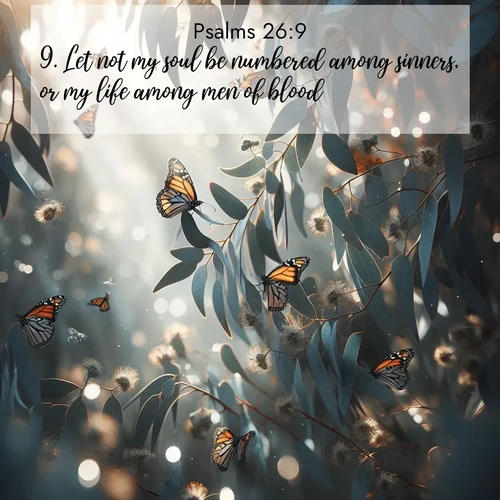 BasicEnglish Psalms  ; image nature: image with the bible verse :Let not my soul be numbered among sinners, or my life among men of blood; ; Download Bible verse images paired with breathtaking nature photos like golden deserts, shimmering seas, and blossoming orchards. These high-quality, free images are perfect for wallpapers or sharing. Verses include KJV Psalms 26:9. Current verse is overlayed with the thematic nature scene : Monarch butterflies cluster on eucalyptus branches in winter sun. ; 26:9