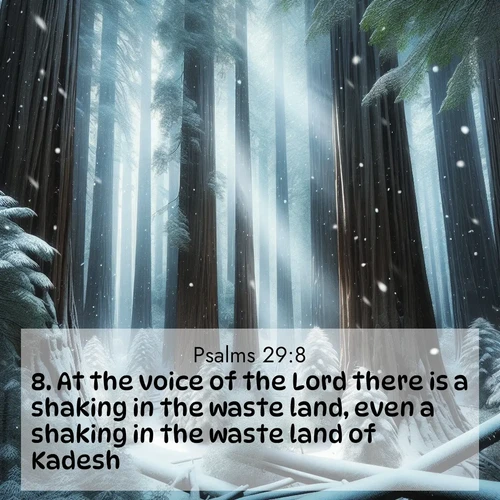 BasicEnglish Psalms  ; image nature: image with the bible verse :At the voice of the Lord there is a shaking in the waste land, even a shaking in the waste land of Kadesh. ; Explore Bible verse images highlighting the beauty of spring, with vibrant flowers, butterflies, and blossoming fruit trees. These scenes evoke divine hope and renewal. Download inspiring verses like KJV Psalms 29:8. Current verse is overlayed with the thematic nature scene : Snow falls silently on ancient redwoods. Shafts of light pierce through to illuminate the forest floor. ; 29:8