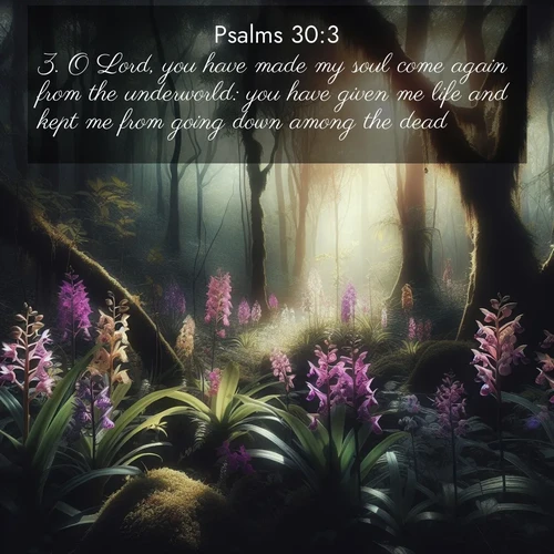 BasicEnglish Psalms  ; image nature: image with the bible verse :O Lord, you have made my soul come again from the underworld: you have given me life and kept me from going down among the dead. ; Admire Bible images evoking autumn, with warm colors of fallen leaves, harvested fields, and tranquil woods. These inspiring landscapes reflect the transition and beauty of God&#039;s creation. Download verses like KJV Psalms 30:3. Current verse is overlayed with the thematic nature scene : Wild orchids bloom in forest shade. Filtered light reveals their grace. ; 30:3