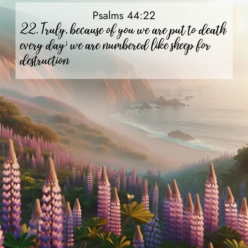 BasicEnglish Psalms  ; image nature: image with the bible verse :Truly, because of you we are put to death every day; we are numbered like sheep for destruction. ; Discover Bible verse images capturing the warmth of summer, with beach landscapes, sunlit fields, and clear skies. These bright scenes reflect divine joy. Share verses like KJV Psalms 44:22. Current verse is overlayed with the thematic nature scene : Wild lupines carpet coastal bluffs. Pacific fog rolls in like smoke. ; 44:22