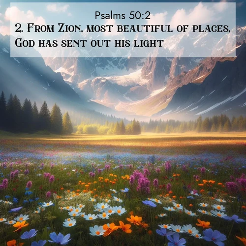 BasicEnglish Psalms  ; image nature: image with the bible verse :From Zion, most beautiful of places, God has sent out his light. ; Explore a collection of Bible verses paired with springtime scenes, featuring blooming flowers, lush meadows, and trees in full bloom. These images symbolize divine renewal and hope. Download inspiring verses like KJV Psalms 50:2. Current verse is overlayed with the thematic nature scene : Spring wildflowers carpet an alpine meadow beneath snow-capped peaks. ; 50:2