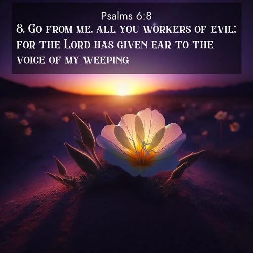 BasicEnglish Psalms  ; image nature: image with the bible verse :Go from me, all you workers of evil; for the Lord has given ear to the voice of my weeping. ; Discover Bible verse images capturing the warmth of summer, with beach landscapes, sunlit fields, and clear skies. These bright scenes reflect divine joy. Share verses like KJV Psalms 6:8. Current verse is overlayed with the thematic nature scene : Desert evening primrose opens to the setting sun. Stars emerge in the deepening purple sky. ; 6:8