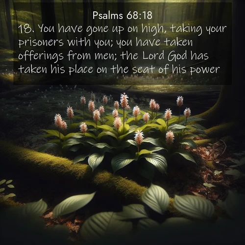 BasicEnglish Psalms  ; image nature: image with the bible verse :You have gone up on high, taking your prisoners with you; you have taken offerings from men; the Lord God has taken his place on the seat of his power. ; Discover our curated gallery of Bible verse images with breathtaking scenery, from tranquil deserts to lush green pastures. Perfect for phone wallpapers or sharing online. Download verses like KJV Psalms 68:18. Current verse is overlayed with the thematic nature scene : Wild ginger blooms hidden in forest shadows. Filtered sunlight reveals their secret beauty. ; 68:18