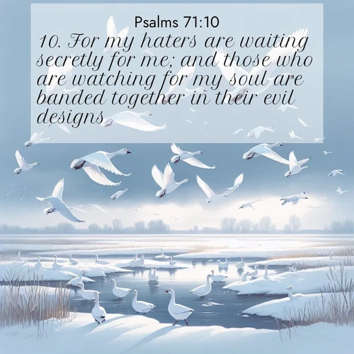BBE Psalms 71:10 overlaying nature image scene: Snow geese take flight from a winter marsh. Their wings flash white against leaden skies.;10. For my haters are waiting secretly for me; and those who are watching for my soul are banded together in their evil designs,