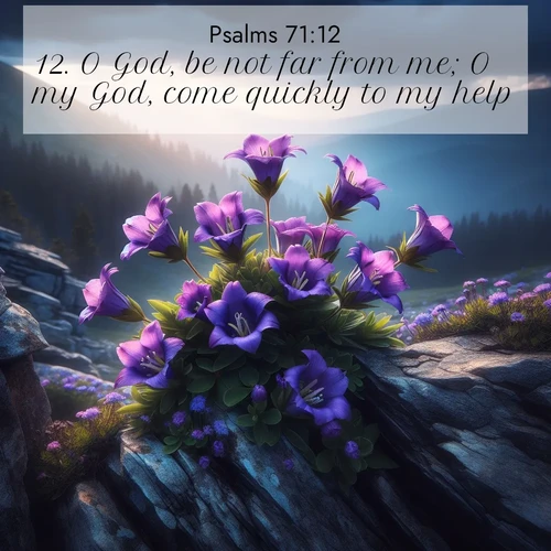 BBE Psalms 71:12 overlaying nature image scene: Wild gentians bloom in rocky cracks. Summer storms gather above treeline.;12. O God, be not far from me; O my God, come quickly to my help.