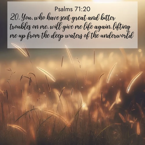BBE Psalms 71:20 overlaying nature image scene: Summer heat brings out cricket songs in meadow grass.;20. You, who have sent great and bitter troubles on me, will give me life again, lifting me up from the deep waters of the underworld.