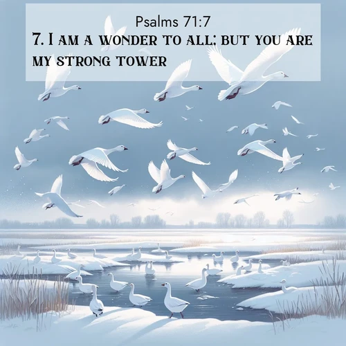 BBE Psalms 71:7 overlaying nature image scene: Snow geese take flight from a winter marsh. Their wings flash white against leaden skies.;7. I am a wonder to all; but you are my strong tower.