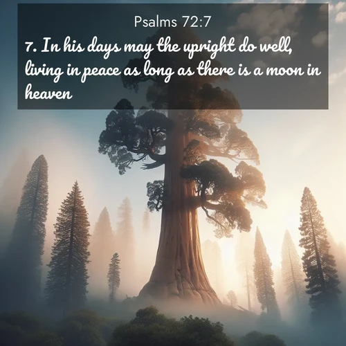 BasicEnglish Psalms  ; image nature: image with the bible verse :In his days may the upright do well, living in peace as long as there is a moon in heaven. ; Dive into a gallery of Bible verses illustrated by tropical beach scenes, featuring sparkling waves, seashells, and radiant sunrises. These images evoke divine peace and joy. Download and share inspiring verses like KJV Psalms 72:7. Current verse is overlayed with the thematic nature scene : A giant sequoia reaches through morning fog. Centuries of growth stretch skyward in silent majesty. ; 72:7