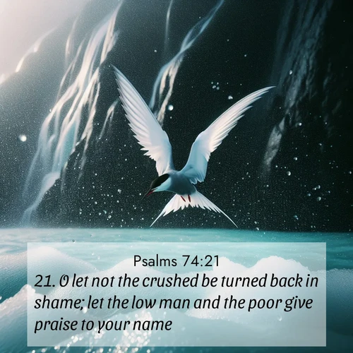 BasicEnglish Psalms  ; image nature: image with the bible verse :O let not the crushed be turned back in shame; let the low man and the poor give praise to your name. ; Dive into a gallery of Bible verses illustrated by tropical beach scenes, featuring sparkling waves, seashells, and radiant sunrises. These images evoke divine peace and joy. Download and share inspiring verses like KJV Psalms 74:21. Current verse is overlayed with the thematic nature scene : Arctic terns dive through sea spray above turquoise glacial meltwater. Their white wings flash silver against obsidian cliffs. ; 74:21