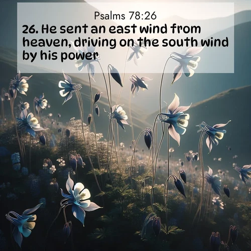 BasicEnglish Psalms  ; image nature: image with the bible verse :He sent an east wind from heaven, driving on the south wind by his power. ; Admire Bible verse images featuring tranquil rivers, golden fields, and starry heavens. These free-to-download images make inspiring wallpapers or thoughtful gifts. Download KJV Psalms 78:26 now. Current verse is overlayed with the thematic nature scene : Wild columbines dance on impossibly thin stems. Mountain breezes carry their perfume. ; 78:26