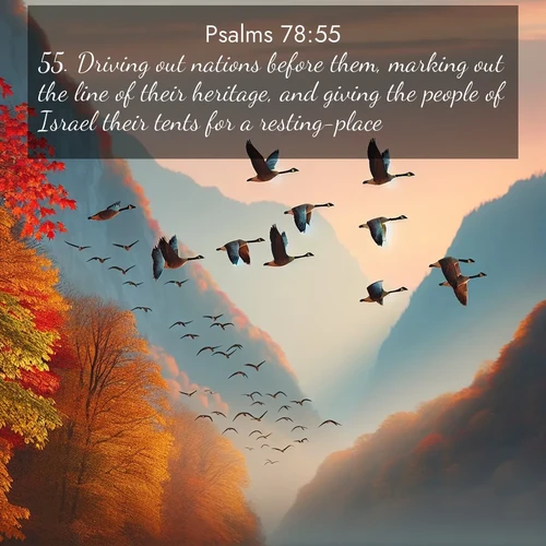 BasicEnglish Psalms  ; image nature: image with the bible verse :Driving out nations before them, marking out the line of their heritage, and giving the people of Israel their tents for a resting-place. ; Dive into our collection of Bible verse images combined with sublime nature photos, such as graceful waterfalls, radiant sunsets, and endless meadows. These compositions highlight the peace and harmony of God&#039;s creation with vivid colors and carefully integrated text. Download and share verses like KJV Psalms 78:55. Current verse is overlayed with the thematic nature scene : Wild geese arrow through autumn skies. Their calls echo off mountain walls. ; 78:55