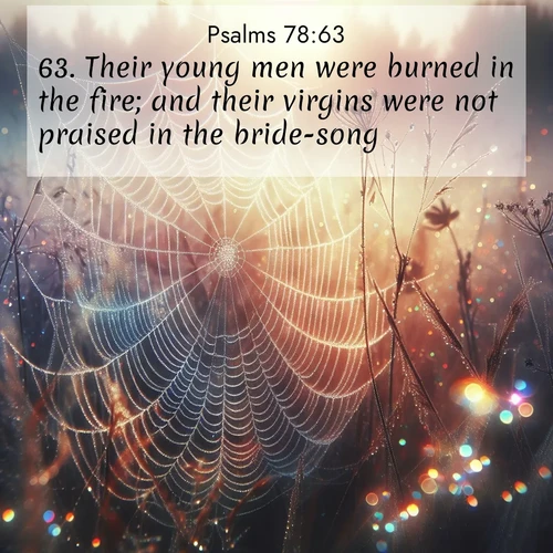 BasicEnglish Psalms  ; image nature: image with the bible verse :Their young men were burned in the fire; and their virgins were not praised in the bride-song. ; Explore Bible verses combined with serene beach photos, desert dunes, and infinite skies, highlighting God&#039;s majesty in every landscape. Download and share inspiring verses like KJV Psalms 78:63. Current verse is overlayed with the thematic nature scene : Morning fog reveals spider web galaxies. Dew drops catch rainbow light. ; 78:63