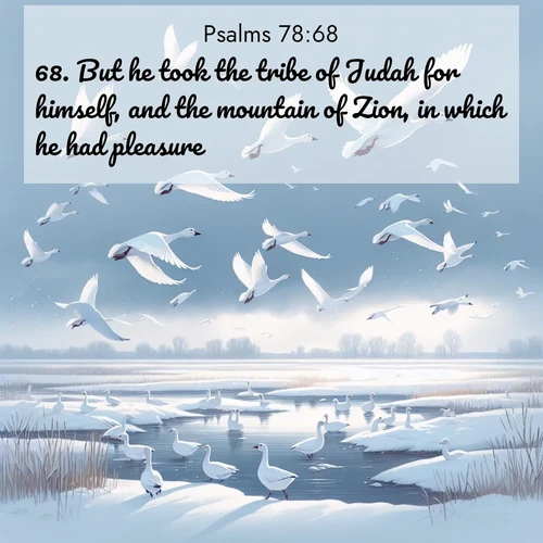 BasicEnglish Psalms  ; image nature: image with the bible verse :But he took the tribe of Judah for himself, and the mountain of Zion, in which he had pleasure. ; Explore a winter collection of Bible verse images adorned with photos of icy landscapes, frozen waterfalls, and snow-covered forests. These scenes capture divine tranquility and purity. Download inspiring verses like KJV Psalms 78:68. Current verse is overlayed with the thematic nature scene : Snow geese take flight from a winter marsh. Their wings flash white against leaden skies. ; 78:68