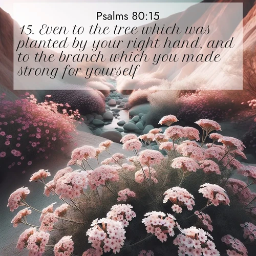 BasicEnglish Psalms  ; image nature: image with the bible verse :Even to the tree which was planted by your right hand, and to the branch which you made strong for yourself. ; Discover Bible images illustrated by desert landscapes, like sand dunes, majestic rocks, and starry skies. These images symbolize the grandeur and immensity of God&#039;s creation. Download verses like KJV Psalms 80:15. Current verse is overlayed with the thematic nature scene : Desert verbena blooms in hidden washes. Flash floods carved these secret gardens. ; 80:15
