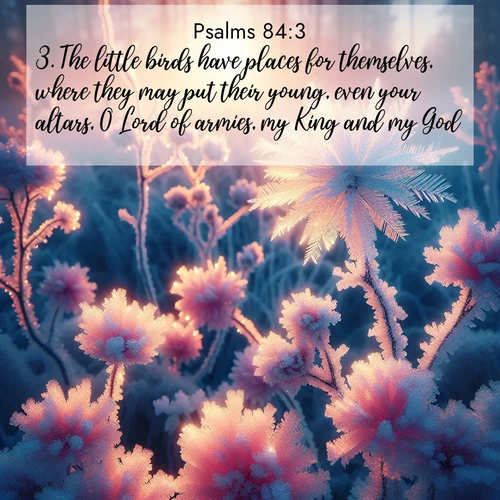 BasicEnglish Psalms  ; image nature: image with the bible verse :The little birds have places for themselves, where they may put their young, even your altars, O Lord of armies, my King and my God. ; Admire Bible verse images illustrated by summer photos, such as sunny beaches, sparkling waves, and swaying palm trees. These bright scenes highlight the joy and warmth of God&#039;s creation. Download and share verses like KJV Psalms 84:3. Current verse is overlayed with the thematic nature scene : Morning light reveals frost flowers. Rainbow crystals bloom on bare branches. ; 84:3