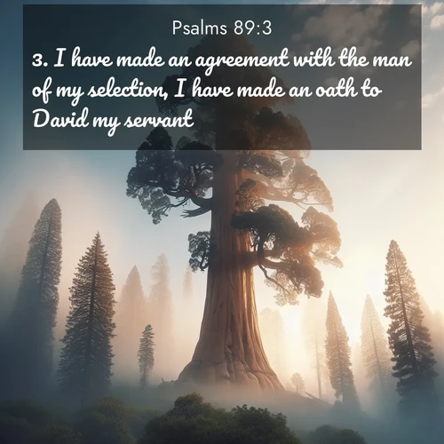 BasicEnglish Psalms  ; image nature: image with the bible verse :I have made an agreement with the man of my selection, I have made an oath to David my servant; ; Discover a gallery of Bible verse images showcasing the beauty of autumn, with golden leaves, red forests, and peaceful fields bathed in soft light. These soothing scenes are perfect for accompanying inspiring verses like KJV Psalms 89:3. Current verse is overlayed with the thematic nature scene : A giant sequoia reaches through morning fog. Centuries of growth stretch skyward in silent majesty. ; 89:3