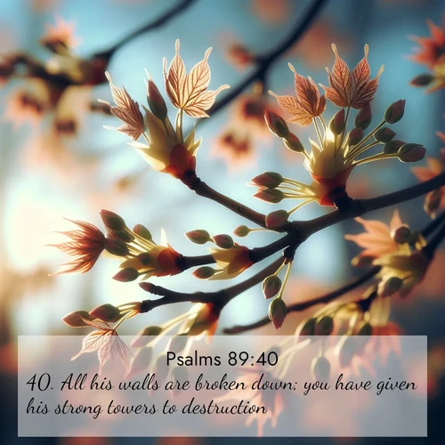 BasicEnglish Psalms  ; image nature: image with the bible verse :All his walls are broken down; you have given his strong towers to destruction. ; Discover a gallery of Bible verse images showcasing the beauty of autumn, with golden leaves, red forests, and peaceful fields bathed in soft light. These soothing scenes are perfect for accompanying inspiring verses like KJV Psalms 89:40. Current verse is overlayed with the thematic nature scene : Spring buds burst open on maple branches against a blue sky. ; 89:40