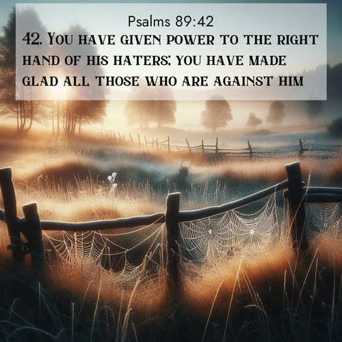 BasicEnglish Psalms  ; image nature: image with the bible verse :You have given power to the right hand of his haters; you have made glad all those who are against him. ; Browse a large collection of Bible verse images with photos showcasing the splendor of nature. Scenes of peaceful rivers, verdant valleys, and radiant skies enhance the inspiring verses. Each image reflects the serenity and joy of God&#039;s creation, with elegant text fonts. Download and share verses such as KJV Psalms 89:42. Current verse is overlayed with the thematic nature scene : Morning frost coats spider webs stretched between fence posts in a country meadow. ; 89:42