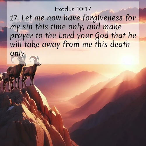 BasicEnglish Exodus  ; image nature: image with the bible verse :Let me now have forgiveness for my sin this time only, and make prayer to the Lord your God that he will take away from me this death only. ; Explore an inspiring selection of Bible verse images adorned with nature photos, such as starry skies, verdant hills, and golden beaches. Each image reflects the peace and beauty of God&#039;s creation with vibrant colors and varied fonts. Share uplifting verses like KJV Exodus 10:17. Current verse is overlayed with the thematic nature scene : Desert bighorns pause on a knife-edge ridge. Sunset paints their horns in gold. ; 10:17