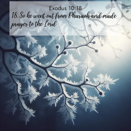 BasicEnglish Exodus  ; image nature: image with the bible verse :So he went out from Pharaoh and made prayer to the Lord. ; Browse Bible images illustrated by desert landscapes, with endless skies, golden dunes, and isolated palm trees. These images evoke the calm and grandeur of God&#039;s creation. Download inspiring verses like KJV Exodus 10:18. Current verse is overlayed with the thematic nature scene : Winter frost coats bare branches in delicate crystal. ; 10:18