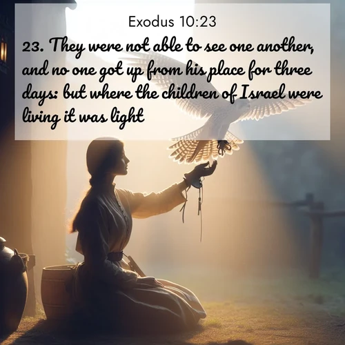 BasicEnglish Exodus  ; image nature: image with the bible verse :They were not able to see one another, and no one got up from his place for three days: but where the children of Israel were living it was light. ; Explore a collection of inspiring Bible verse images accompanied by winter photos, such as snowy landscapes, frosted trees, and frozen lakes. These images reflect the peace and purity of God&#039;s creation, with elegant fonts and luminous colors. Download and share verses like KJV Exodus 10:23. Current verse is overlayed with the thematic nature scene : A falconer releases his bird. Wind lifts magnificent wings. ; 10:23