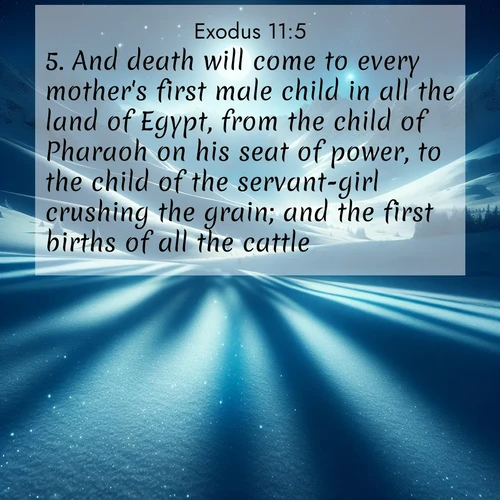 BasicEnglish Exodus  ; image nature: image with the bible verse :And death will come to every mother&#039;s first male child in all the land of Egypt, from the child of Pharaoh on his seat of power, to the child of the servant-girl crushing the grain; and the first births of all the cattle. ; Dive into our collection of Bible verse images combined with sublime nature photos, such as graceful waterfalls, radiant sunsets, and endless meadows. These compositions highlight the peace and harmony of God&#039;s creation with vivid colors and carefully integrated text. Download and share verses like KJV Exodus 11:5. Current verse is overlayed with the thematic nature scene : Moonlight illuminates the snowy mountain peaks, casting blue shadows across untouched powder. ; 11:5