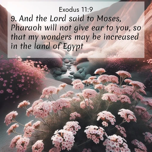 BasicEnglish Exodus  ; image nature: image with the bible verse :And the Lord said to Moses, Pharaoh will not give ear to you, so that my wonders may be increased in the land of Egypt. ; Discover Bible verses beautifully integrated with natural scenes of varied seasons, featuring summer skies, winter snow, autumn leaves, and spring blooms. Each image captures the splendor and peace of God&#039;s creation. Share verses like KJV Exodus 11:9. Current verse is overlayed with the thematic nature scene : Desert verbena blooms in hidden washes. Flash floods carved these secret gardens. ; 11:9