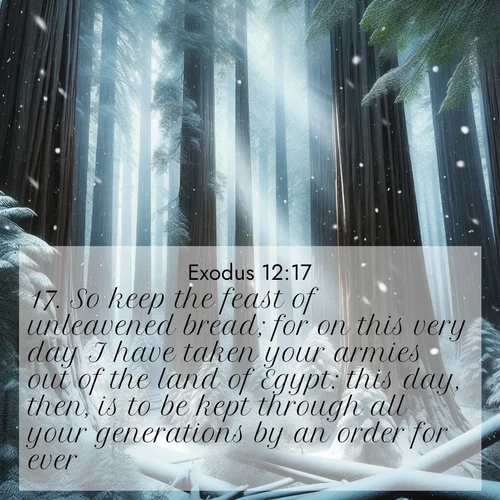 BBE Exodus 12:17 overlaying nature image scene: Snow falls silently on ancient redwoods. Shafts of light pierce through to illuminate the forest floor.;17. So keep the feast of unleavened bread; for on this very day I have taken your armies out of the land of Egypt: this day, then, is to be kept through all your generations by an order for ever.