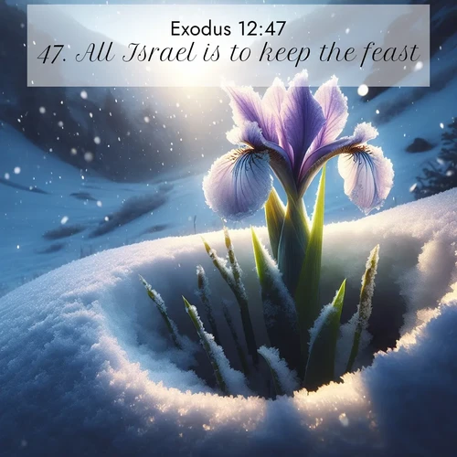BBE Exodus 12:47 overlaying nature image scene: Wild iris breaks through spring snow. Alpine light ignites petals.;47. All Israel is to keep the feast.