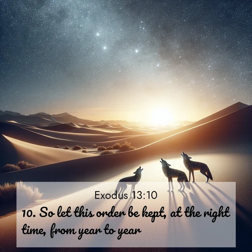 BasicEnglish Exodus  ; image nature: image with the bible verse :So let this order be kept, at the right time, from year to year. ; Explore a unique collection of Bible verses illustrated by winter landscapes, such as snowy mountains, frosty forests, and starry skies. These images capture the peace and beauty of winter. Share verses like KJV Exodus 13:10. Current verse is overlayed with the thematic nature scene : Desert coyotes sing to stars. Their voices echo through time. ; 13:10