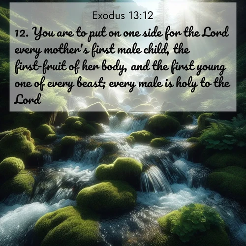 BasicEnglish Exodus  ; image nature: image with the bible verse :You are to put on one side for the Lord every mother&#039;s first male child, the first-fruit of her body, and the first young one of every beast; every male is holy to the Lord. ; Explore Bible verses combined with serene beach photos, desert dunes, and infinite skies, highlighting God&#039;s majesty in every landscape. Download and share inspiring verses like KJV Exodus 13:12. Current verse is overlayed with the thematic nature scene : Mountain streams tumble through moss. Sunlight creates crystal prisms. ; 13:12