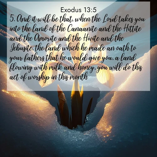 BasicEnglish Exodus  ; image nature: image with the bible verse :And it will be that, when the Lord takes you into the land of the Canaanite and the Hittite and the Amorite and the Hivite and the Jebusite, the land which he made an oath to your fathers that he would give you, a land flowing with milk and honey, you will do this act of worship in this month. ; Admire our free collection of Bible verse images with beautiful landscapes like sunlit forests, rippling waters, and radiant dawns. Each verse, such as KJV Exodus 13:5, is ready to download and share. Current verse is overlayed with the thematic nature scene : Wild iris breaks through melting snow. Alpine light ignites its petals. ; 13:5