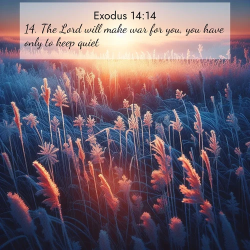BasicEnglish Exodus  ; image nature: image with the bible verse :The Lord will make war for you, you have only to keep quiet. ; Discover Bible verse images capturing the warmth of summer, with beach landscapes, sunlit fields, and clear skies. These bright scenes reflect divine joy. Share verses like KJV Exodus 14:14. Current verse is overlayed with the thematic nature scene : Winter sunrise illuminates frost-covered prairie grass. ; 14:14