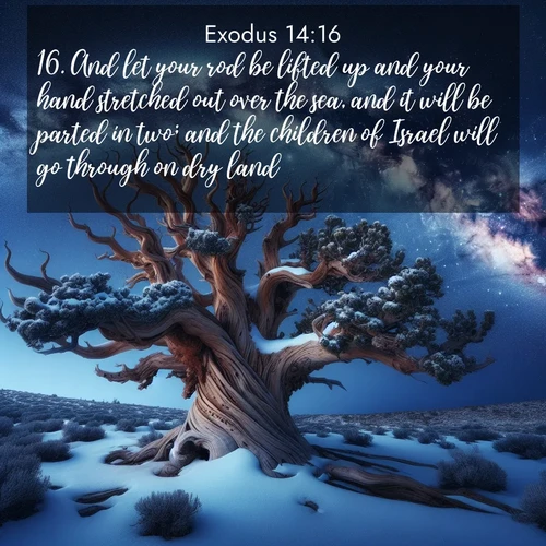 BasicEnglish Exodus  ; image nature: image with the bible verse :And let your rod be lifted up and your hand stretched out over the sea, and it will be parted in two; and the children of Israel will go through on dry land. ; Discover a rich selection of Bible verse images illustrated by natural landscapes like tranquil beaches, golden fields, and majestic trees. These images aim to capture the peace and beauty of God&#039;s creation, with vibrant colors and varied typography. Download and share inspiring verses like KJV Exodus 14:16. Current verse is overlayed with the thematic nature scene : Ancient bristlecone pine twists against a navy twilight sky, its gnarled branches laden with fresh snow. The Milky Way arcs overhead in crystalline clarity. ; 14:16