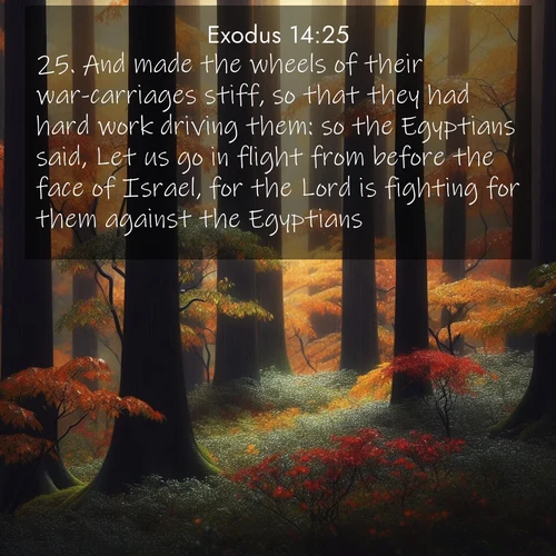 BasicEnglish Exodus  ; image nature: image with the bible verse :And made the wheels of their war-carriages stiff, so that they had hard work driving them: so the Egyptians said, Let us go in flight from before the face of Israel, for the Lord is fighting for them against the Egyptians. ; Browse our collection of vibrant Bible verse images set against calming backdrops like tropical shores, quiet woods, and majestic mountains. Download free wallpapers featuring KJV Exodus 14:25. Current verse is overlayed with the thematic nature scene : Autumn rain darkens tree trunks in the forest. ; 14:25