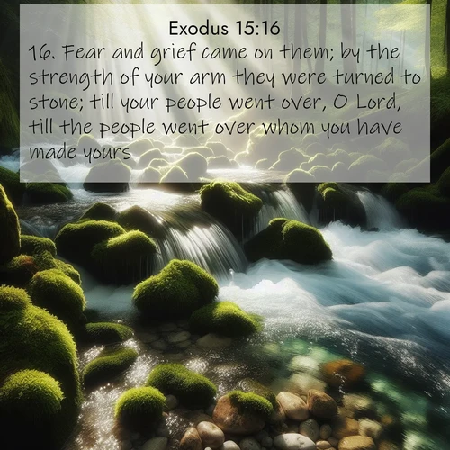 BasicEnglish Exodus  ; image nature: image with the bible verse :Fear and grief came on them; by the strength of your arm they were turned to stone; till your people went over, O Lord, till the people went over whom you have made yours. ; Admire our gallery of Bible verse images showcasing divine beauty in nature—whether snowy peaks or serene oceans. Each image is freely downloadable and perfect for personal or spiritual use. Share verses like KJV Exodus 15:16. Current verse is overlayed with the thematic nature scene : A mountain stream tumbles through moss-covered stones. Sunlight dapples the crystal-clear water. ; 15:16