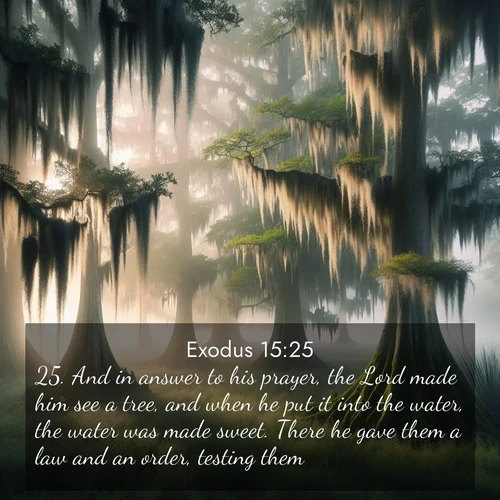 BasicEnglish Exodus  ; image nature: image with the bible verse :And in answer to his prayer, the Lord made him see a tree, and when he put it into the water, the water was made sweet. There he gave them a law and an order, testing them; ; Discover Bible images capturing the splendor of deserts, with golden dunes, vast skies, and peaceful oases. These landscapes highlight the grandeur and serenity of God&#039;s creation. Share verses like KJV Exodus 15:25. Current verse is overlayed with the thematic nature scene : Moss-draped cypress trees emerge from morning fog. Spanish moss sways like ancient lace. ; 15:25