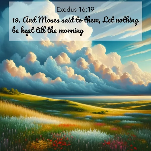 BasicEnglish Exodus  ; image nature: image with the bible verse :And Moses said to them, Let nothing be kept till the morning. ; Admire Bible images representing autumn, with swirling leaves, misty skies, and vibrant trees. These images inspire profound spiritual reflection. Download and share verses like KJV Exodus 16:19. Current verse is overlayed with the thematic nature scene : Summer thunderheads build over grasslands dotted with wildflowers. ; 16:19