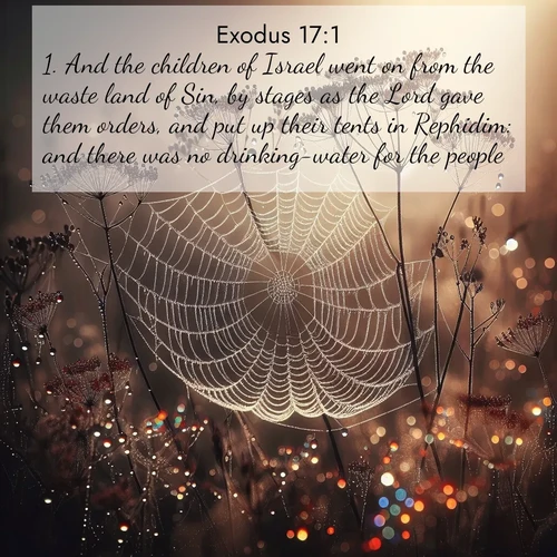 BasicEnglish Exodus  ; image nature: image with the bible verse :And the children of Israel went on from the waste land of Sin, by stages as the Lord gave them orders, and put up their tents in Rephidim: and there was no drinking-water for the people. ; Discover Bible verses beautifully integrated with natural scenes of varied seasons, featuring summer skies, winter snow, autumn leaves, and spring blooms. Each image captures the splendor and peace of God&#039;s creation. Share verses like KJV Exodus 17:1. Current verse is overlayed with the thematic nature scene : Morning fog reveals spider galaxies. Dew drops capture rainbow light. ; 17:1