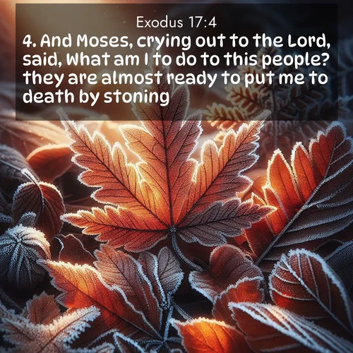 BasicEnglish Exodus  ; image nature: image with the bible verse :And Moses, crying out to the Lord, said, What am I to do to this people? they are almost ready to put me to death by stoning. ; Browse beautiful Bible verse images accompanied by peaceful scenes like calm seas, ancient forests, and radiant horizons. Download high-quality, free images featuring verses such as KJV Exodus 17:4. Current verse is overlayed with the thematic nature scene : Autumn frost rims fallen leaves with crystal. ; 17:4