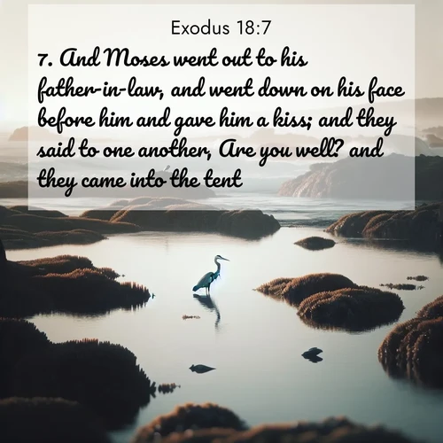 BasicEnglish Exodus  ; image nature: image with the bible verse :And Moses went out to his father-in-law, and went down on his face before him and gave him a kiss; and they said to one another, Are you well? and they came into the tent. ; Explore a gallery of beautiful Bible verse images with tranquil natural settings—perfect for phone backgrounds or inspirational posts. Download your favorite verses like KJV Exodus 18:7 today. Current verse is overlayed with the thematic nature scene : A great blue heron fishes in tidal pools. Waves crash on distant reefs. ; 18:7