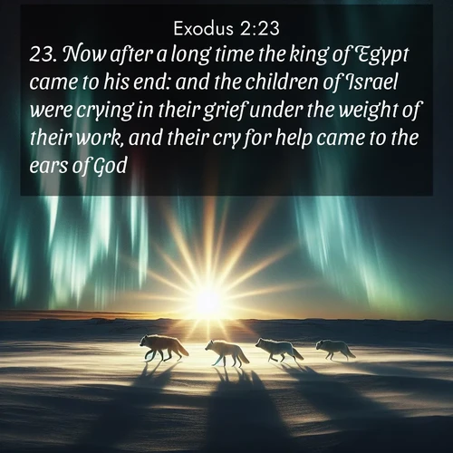 BBE Exodus 2:23 overlaying nature image scene: Arctic wolves traverse windswept tundra. Northern lights paint their fur in shifting colors.;23. Now after a long time the king of Egypt came to his end: and the children of Israel were crying in their grief under the weight of their work, and their cry for help came to the ears of God.