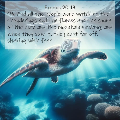BasicEnglish Exodus  ; image nature: image with the bible verse :And all the people were watching the thunderings and the flames and the sound of the horn and the mountain smoking; and when they saw it, they kept far off, shaking with fear. ; Explore a rich collection of Bible verse images beautifully illustrated by natural landscapes, such as colorful skies, towering mountains, and tranquil rivers. The images highlight the serenity of God&#039;s creation with vivid tones and carefully chosen typography. Download and share inspiring verses like KJV Exodus 20:18. Current verse is overlayed with the thematic nature scene : A sea turtle glides through underwater sunbeams. Coral gardens glow in the depths below. ; 20:18