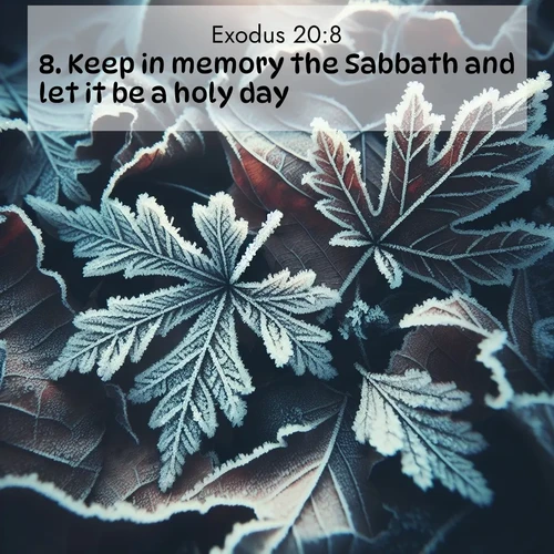 BasicEnglish Exodus  ; image nature: image with the bible verse :Keep in memory the Sabbath and let it be a holy day. ; Discover a gallery of Bible verse images showcasing the beauty of autumn, with golden leaves, red forests, and peaceful fields bathed in soft light. These soothing scenes are perfect for accompanying inspiring verses like KJV Exodus 20:8. Current verse is overlayed with the thematic nature scene : Winter frost creates delicate patterns on fallen leaves. ; 20:8