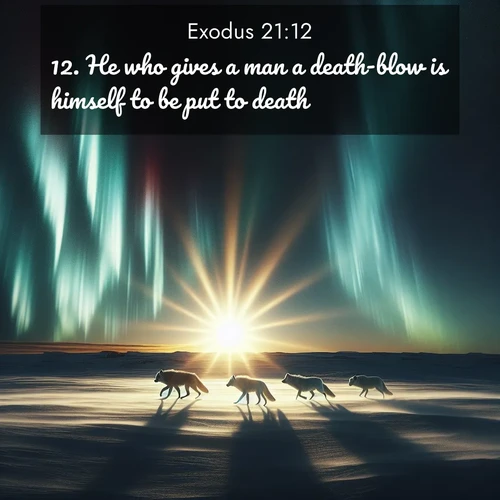 BBE Exodus 21:12 overlaying nature image scene: Arctic wolves traverse windswept tundra. Northern lights paint their fur in shifting colors.;12. He who gives a man a death-blow is himself to be put to death.