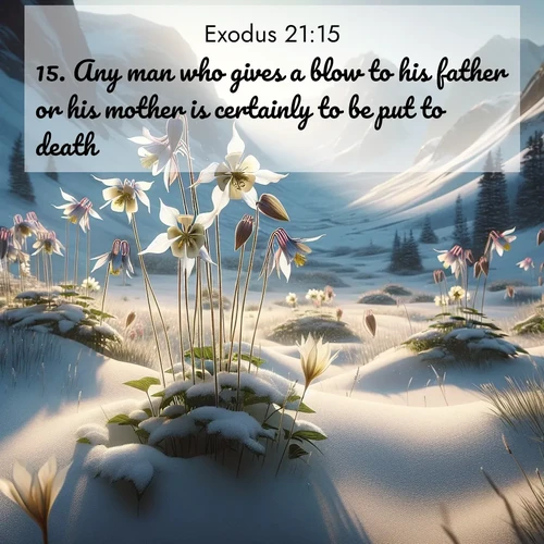 BBE Exodus 21:15 overlaying nature image scene: Wild columbines nod in alpine breeze. Glacier lilies dot snowy meadows.;15. Any man who gives a blow to his father or his mother is certainly to be put to death.