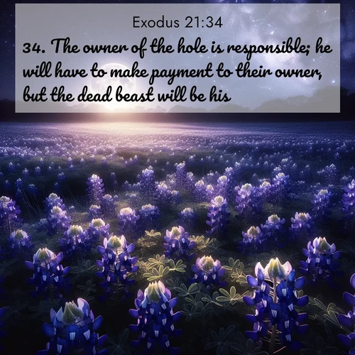 BBE Exodus 21:34 overlaying nature image scene: Moonlight illuminates a field of bluebonnets. A warm breeze carries their sweet fragrance across the prairie.;34. The owner of the hole is responsible; he will have to make payment to their owner, but the dead beast will be his.